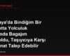 Almanya'da Bindiğim Bir Feribotta Yolculuk Sırasında Bagajım Kayboldu, Taşıyıcıya Karşı Tazminat Talep Edebilir miyim?