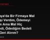 Almanya'da Bir Firmaya Mal Siparişi Verdim, Ödemeyi Yaptım Ama Mal Hiç Gelmedi, Ödediğim Bedeli Nasıl Geri Alırım?
