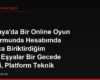Almanya'da Bir Online Oyun Platformunda Hesabımda Yıllarca Biriktirdiğim Sanal Eşyalar Bir Gecede Silindi, Platform Teknik Hata Olduğunu Söylüyor, Tazminat Vermiyor, Haklarım Neler?