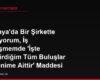 Almanya'da Bir Şirkette Çalışıyorum, İş Sözleşmemde 'İşte Geliştirdiğim Tüm Buluşlar İşverenime Aittir' Maddesi Var, Ancak Boş Zamanımda Tamamen Alakasız Bir Alanda Geliştirdiğim Bir Buluş İçin de Bu Madde Geçerli mi?