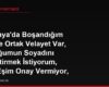 Almanya'da Boşandığım Eşimle Ortak Velayet Var, Çocuğumun Soyadını Değiştirmek İstiyorum, Eski Eşim Onay Vermiyor, Mahkemeden Tek Başıma İzin Alabilir miyim?