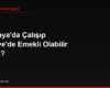 Almanya'da Çalışıp Türkiye'de Emekli Olabilir miyim?