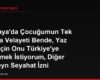 Almanya'da Çocuğumun Tek Başına Velayeti Bende, Yaz Tatili İçin Onu Türkiye'ye Götürmek İstiyorum, Diğer Ebeveyn Seyahat İzni Vermiyor, Tek Başıma Velayet Hakkım Varken Onun Onayı Şart mı?