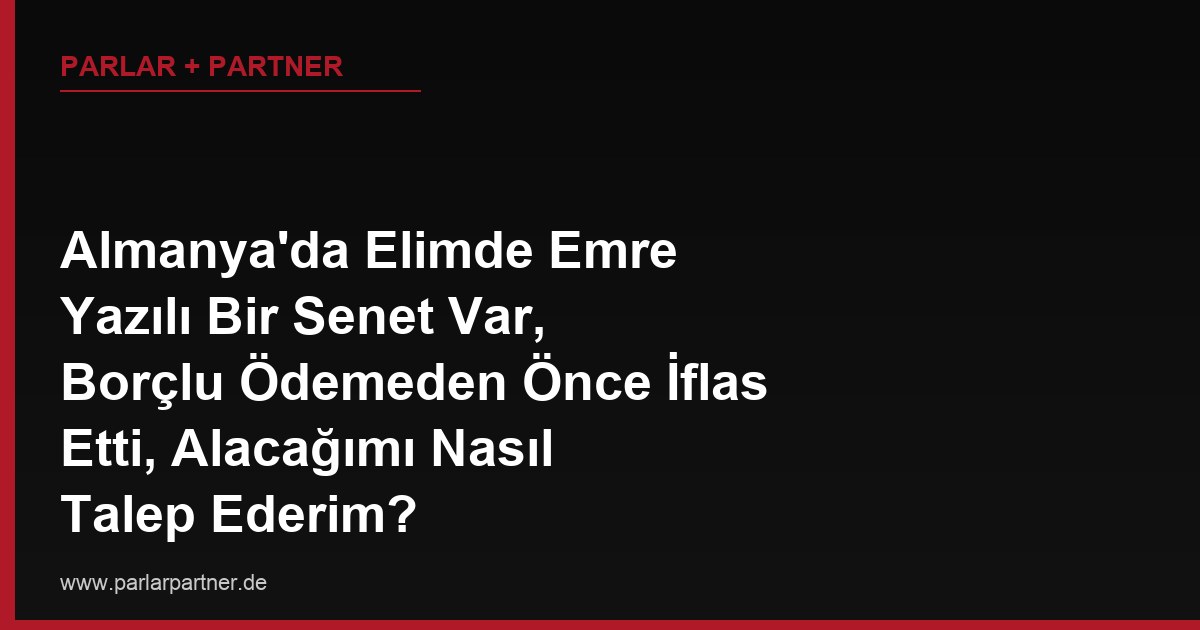 Almanya’da Elimde Emre Yazılı Bir Senet Var, Borçlu Ödemeden Önce İflas Etti, Alacağımı Nasıl Talep Ederim?