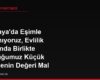 Almanya'da Eşimle Boşanıyoruz, Evlilik Sırasında Birlikte Kurduğumuz Küçük İşletmenin Değeri Mal Paylaşımında Nasıl Hesaplanır?