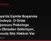 Almanya'da Eşimle Boşanma Sürecindeyiz, O Ortak Çocuğumuzu Psikologa Bilgim Olmadan Götürüyor, Bu Konuda Söz Hakkım Var mı?