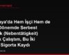 Almanya'da Hem İşçi Hem de Aynı Dönemde Serbest Meslek (Nebentätigkeit) Olarak Çalıştım, Bu İki Farklı Sigorta Kaydı Türkiye'deki Emekliliğime Nasıl Yansır, İki Kayıt Birleştirilir mi?