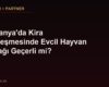 Almanya'da Kira Sözleşmesinde Evcil Hayvan Yasağı Geçerli mi?