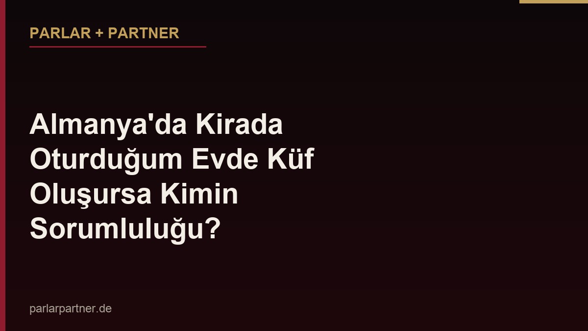 Almanya’da Kirada Oturduğum Evde Küf Oluşursa Kimin Sorumluluğu?