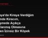 Almanya'da Kiraya Verdiğim Dairemde Kiracım, Sözleşmede Açıkça Yasaklanmış Olmasına Rağmen İzinsiz Bir Köpek Besliyor, Bu Durum Tahliye Sebebi Olur mu?