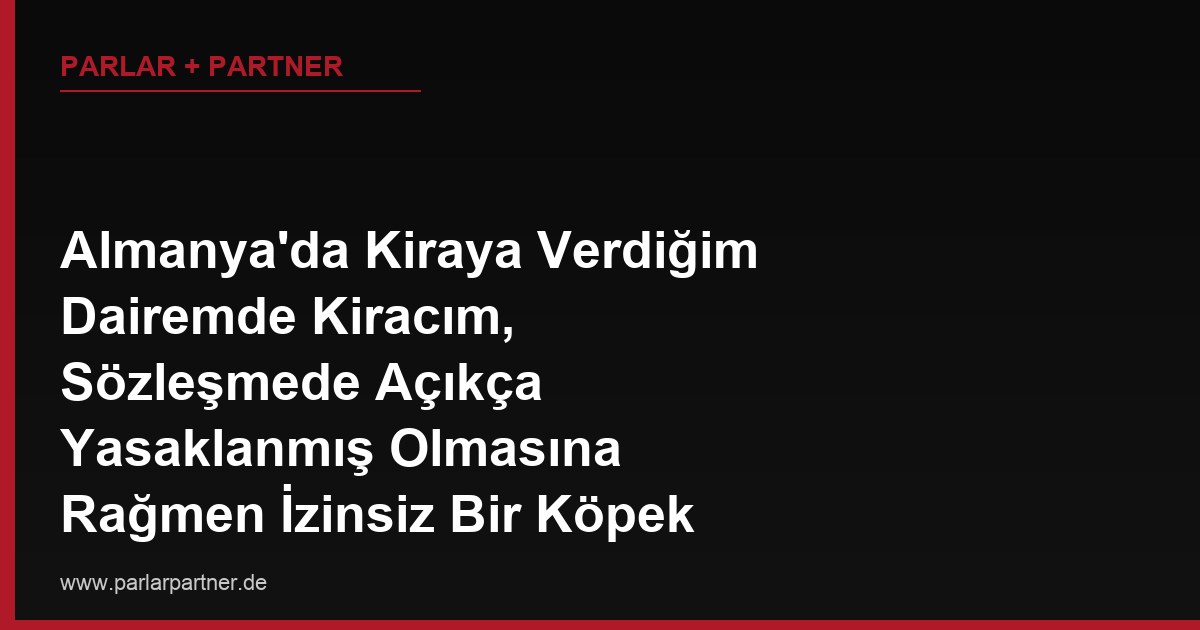 Almanya’da Kiraya Verdiğim Dairemde Kiracım, Sözleşmede Açıkça Yasaklanmış Olmasına Rağmen İzinsiz Bir Köpek Besliyor, Bu Durum Tahliye Sebebi Olur mu?