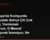 Almanya'da Komşumla Aramızdaki Bahçe Çiti Çok Eskidi, Yenilemek İstiyorum, O Masraf Paylaşmak İstemiyor, Ne Yapabilirim?
