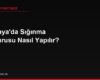 Almanya'da Sığınma Başvurusu Nasıl Yapılır?