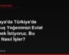 Almanya'da Türkiye'de Doğmuş Yeğenimizi Evlat Edinmek İstiyoruz, Bu Süreç Nasıl İşler?