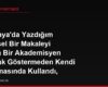 Almanya'da Yazdığım Bilimsel Bir Makaleyi Başka Bir Akademisyen Kaynak Göstermeden Kendi Çalışmasında Kullandı, Akademik Ortamda Ne Yapabilirim?