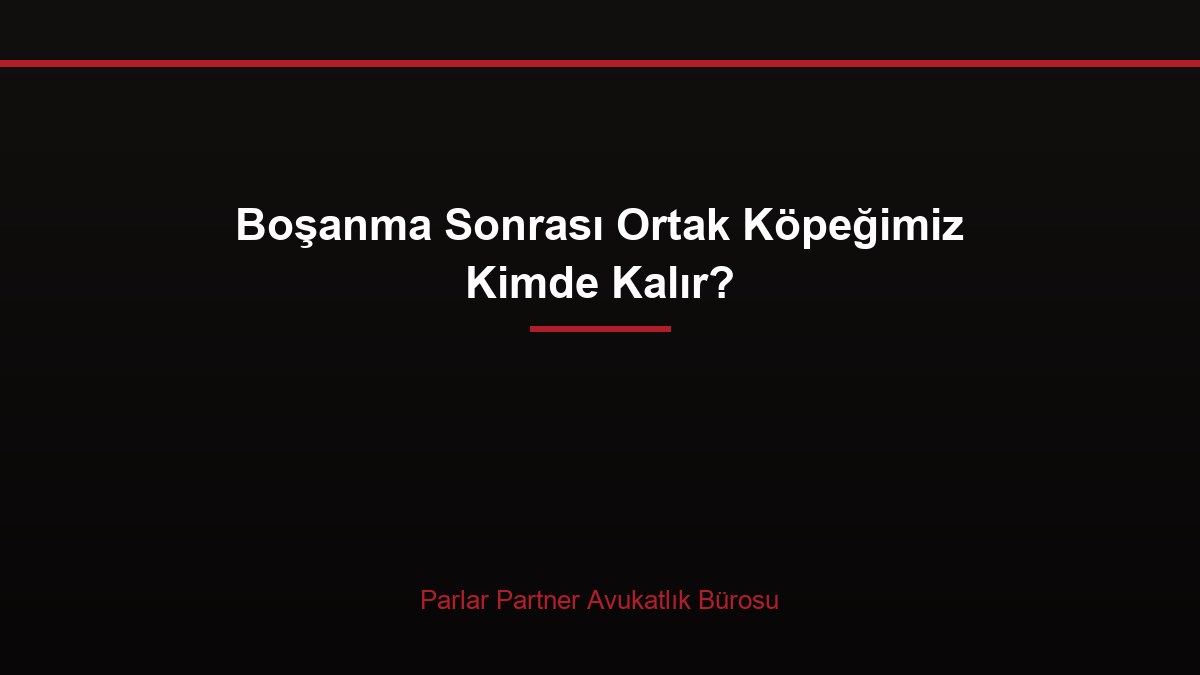 Boşanma Sonrası Ortak Köpeğimiz Kimde Kalır?