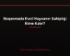 Boşanmada Evcil Hayvanın Sahipliği Kime Kalır?