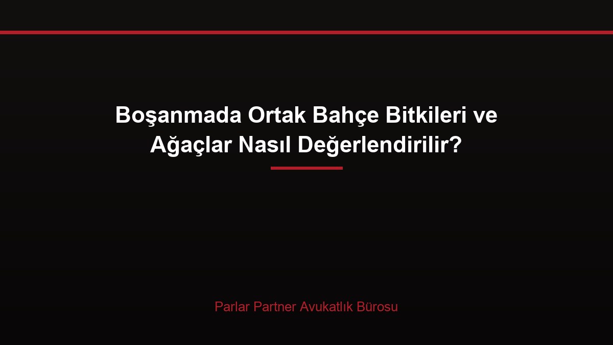 Boşanmada Ortak Bahçe Bitkileri ve Ağaçlar Nasıl Değerlendirilir?