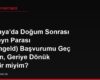 Almanya'da Doğum Sonrası Ebeveyn Parası (Elterngeld) Başvurumu Geç Yaptım, Geriye Dönük Alabilir miyim?