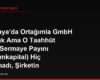 Almanya'da Ortağımla GmbH Kurduk Ama O Taahhüt Ettiği Sermaye Payını (Stammkapital) Hiç Yatırmadı, Şirketin Borçlarından Ben Tek Başıma mı Sorumlu Olurum?