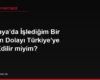 Almanya'da İşlediğim Bir Suçtan Dolayı Türkiye'ye İade Edilir miyim?