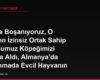Eşimle Boşanıyoruz, O Benden İzinsiz Ortak Sahip Olduğumuz Köpeğimizi Yanına Aldı, Almanya'da Boşanmada Evcil Hayvanın Kime Kalacağı Nasıl Belirlenir?