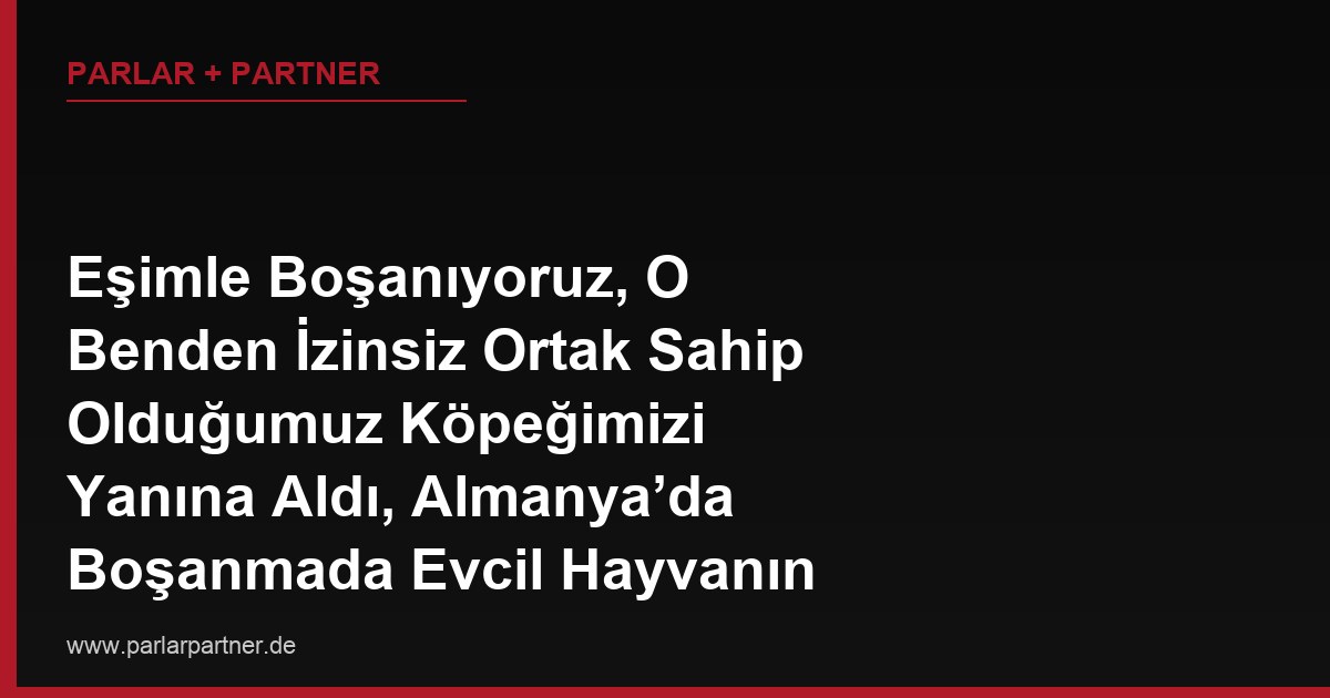 Eşimle Boşanıyoruz, O Benden İzinsiz Ortak Sahip Olduğumuz Köpeğimizi Yanına Aldı, Almanya’da Boşanmada Evcil Hayvanın Kime Kalacağı Nasıl Belirlenir?