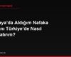 Almanya'da Aldığım Nafaka Kararını Türkiye'de Nasıl Uygulatırım?