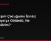 Eski Eşim Çocuğumu İzinsiz Almanya'ya Götürdü, Ne Yapabilirim?