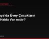 Almanya'da Üvey Çocukların Miras Hakkı Var mıdır?