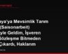 Almanya'ya Mevsimlik Tarım İşçisi (Saisonarbeit) Vizesiyle Geldim, İşveren Beni Sözleşme Bitmeden İşten Çıkardı, Haklarım Neler?