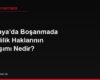 Almanya'da Boşanmada Emeklilik Haklarının Paylaşımı Nedir?