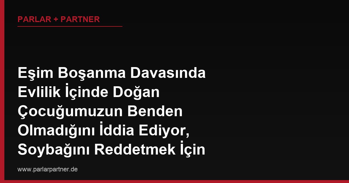 Eşim Boşanma Davasında Evlilik İçinde Doğan Çocuğumuzun Benden Olmadığını İddia Ediyor, Soybağını Reddetmek İçin DNA Testini Kim İspatlamak Zorunda?