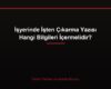İşyerinde İşten Çıkarma Yazısı Hangi Bilgileri İçermelidir?