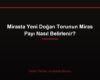 Mirasta Yeni Doğan Torunun Miras Payı Nasıl Belirlenir?
