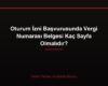 Oturum İzni Başvurusunda Vergi Numarası Belgesi Kaç Sayfa Olmalıdır?