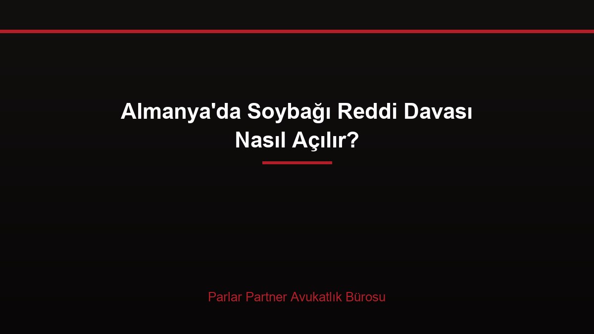 Almanya’da Soybağı Reddi Davası Nasıl Açılır?