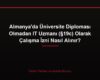 Almanya'da Üniversite Diploması Olmadan IT Uzmanı (§19c) Olarak Çalışma İzni Nasıl Alınır?