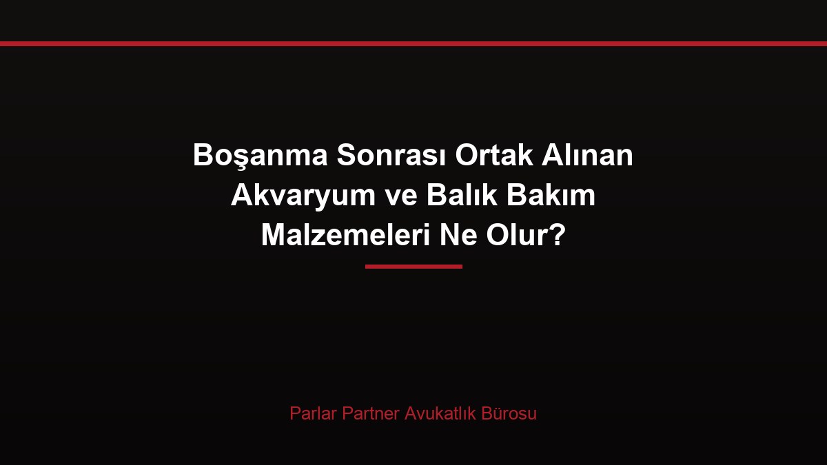 Boşanma Sonrası Ortak Alınan Akvaryum ve Balık Bakım Malzemeleri Ne Olur?