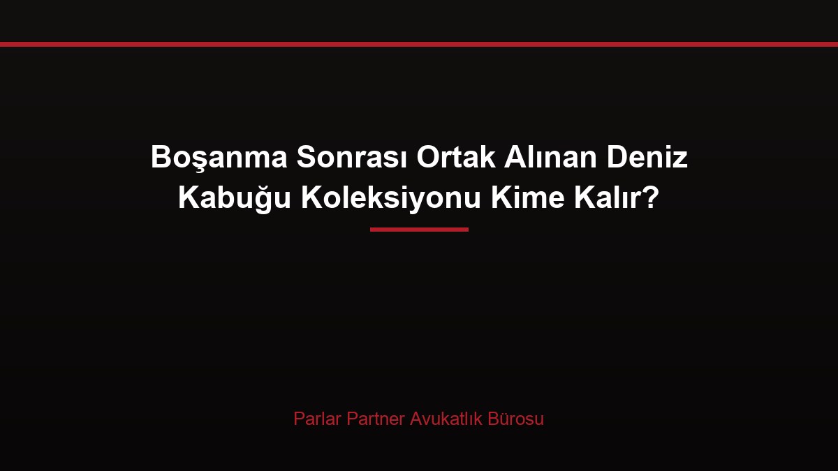Boşanma Sonrası Ortak Alınan Deniz Kabuğu Koleksiyonu Kime Kalır?