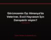 Görümcemin Eşi Almanya'da Veteriner, Evcil Hayvanım İçin Danışabilir miyim?