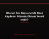 Oturum İzni Başvurumda Ceza Kaydımın Silinmiş Olması Yeterli midir?