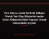 Vize Başvurumda Serbest Çalışan Olarak Yurt Dışı Müşterilerimden Gelen Ödemeleri Mali Kaynak Olarak Gösterebilir miyim?