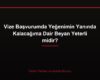 Vize Başvurumda Yeğenimin Yanında Kalacağıma Dair Beyan Yeterli midir?