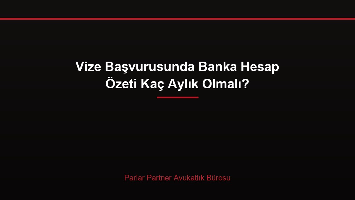 Vize Başvurusunda Banka Hesap Özeti Kaç Aylık Olmalı?