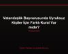 Vatandaşlık Başvurusunda Uyruksuz Kişiler İçin Farklı Kural Var mıdır?