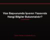 Vize Başvurumda İşveren Yazısında Hangi Bilgiler Bulunmalıdır?